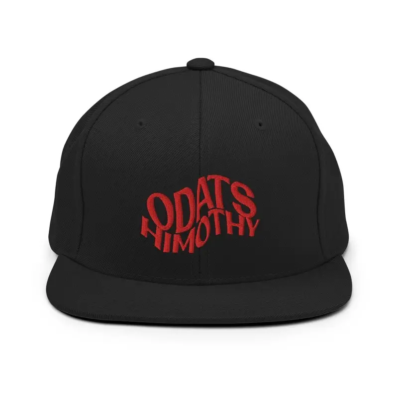 ODATS_HIMOTHY FITTED CAP